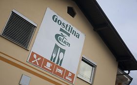 Guest House Celan